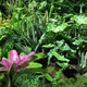 Illustration for article titled The Experimental Jungle Room Where NYC's Underground Park Is Taking Root